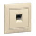 Legrand Valena ������� 1�RJ45 UTP